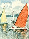 Sailing Board Art - Jan Dingle